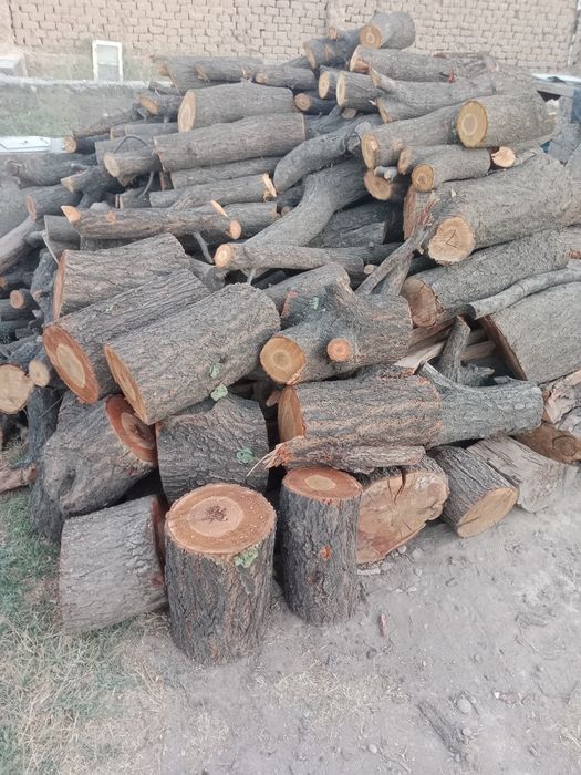 УТИН сотилади копланган мевали дарахтлар утини 15, 20, 25см кесилган