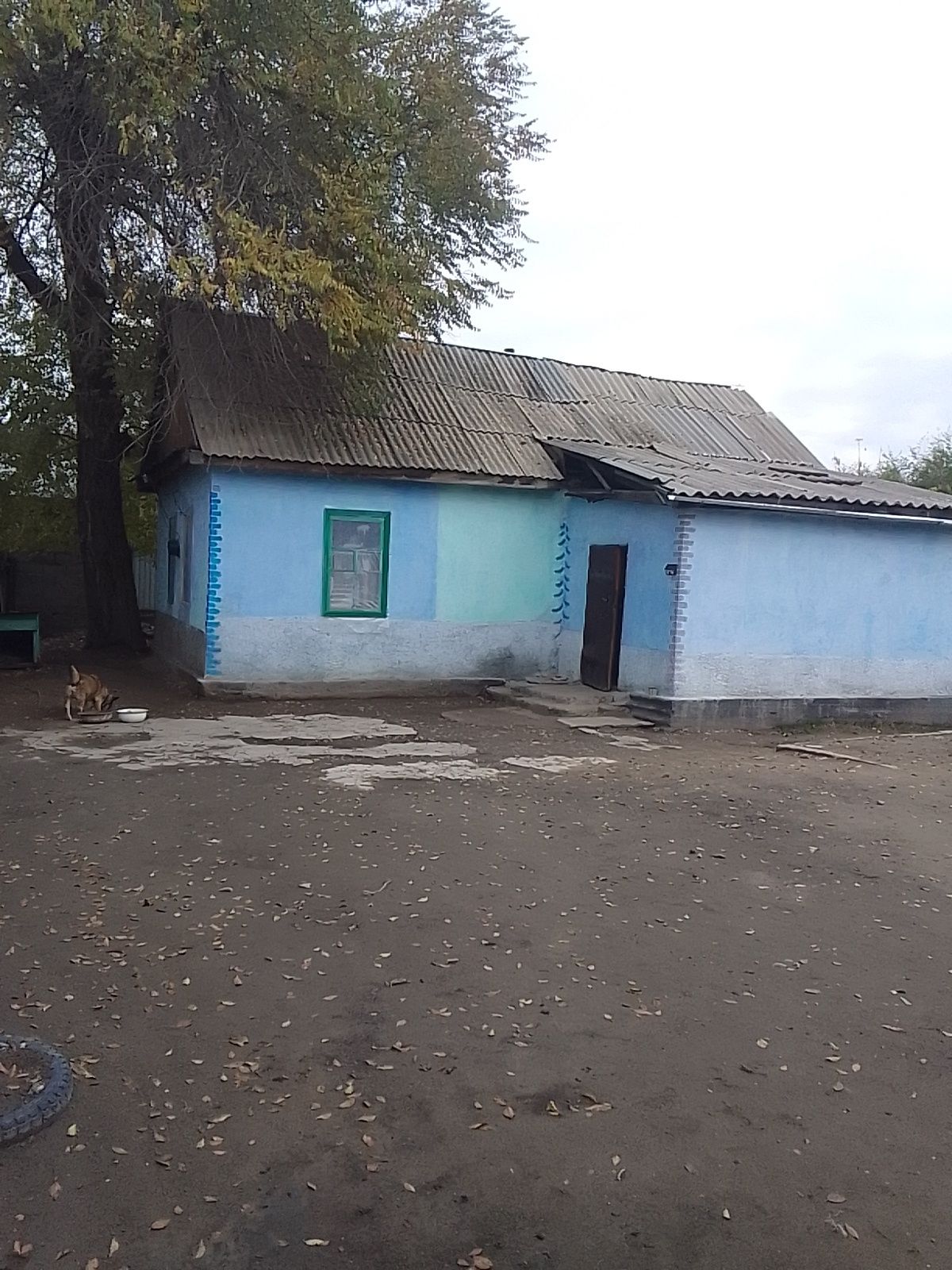 IPhoni  11 C гарантия