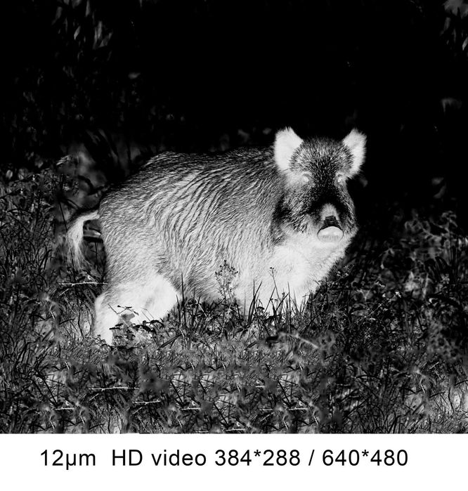 Camera monocular cu termoviziune PARD TA32-35