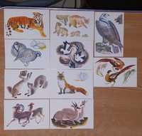 Набор открыток ссср Животные 10 штук открыток.