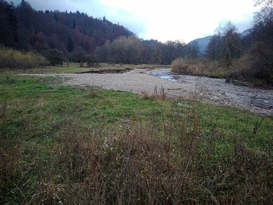 Teren intravilan Dambul Morii / Bunloc / Timisul de Jos