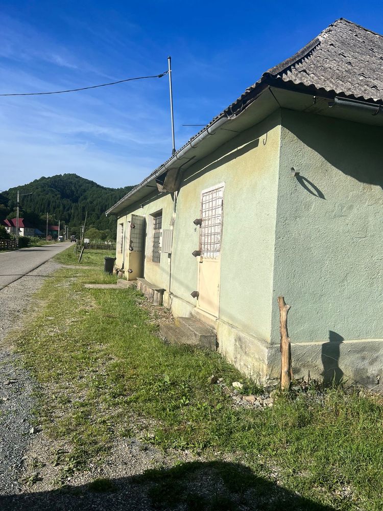 Casa + teren + padure sat Moliset, jud Bistrita Nasaud