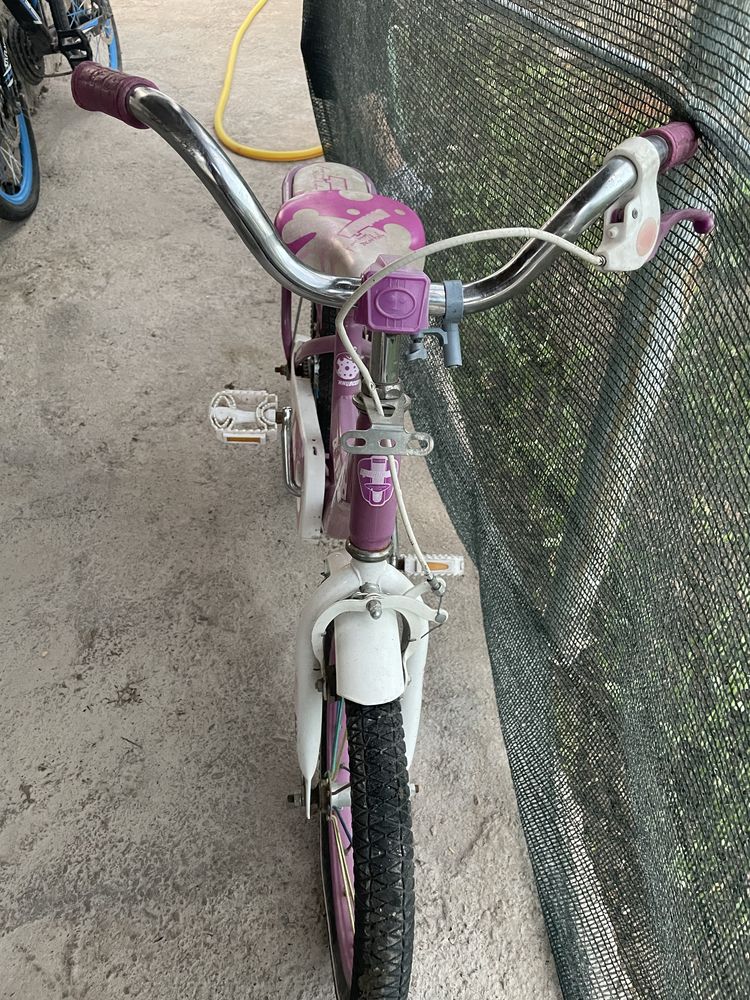 Vekosaped xolati zor