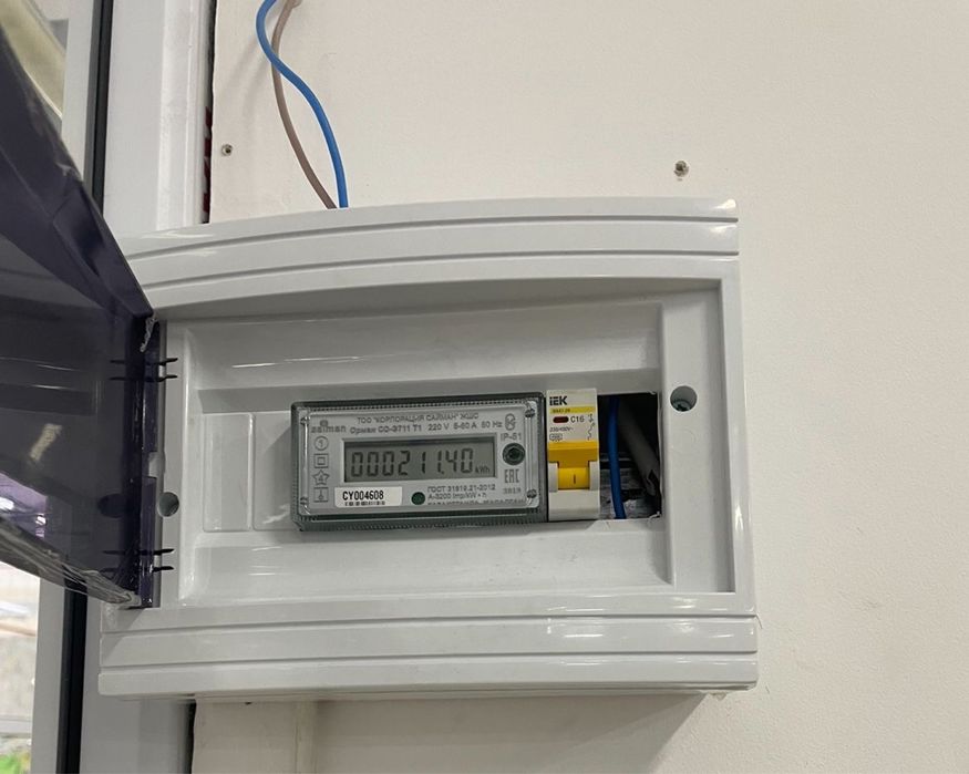 Электросчетчик с корпусом