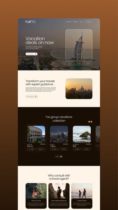 UI/UX designer si developer pro