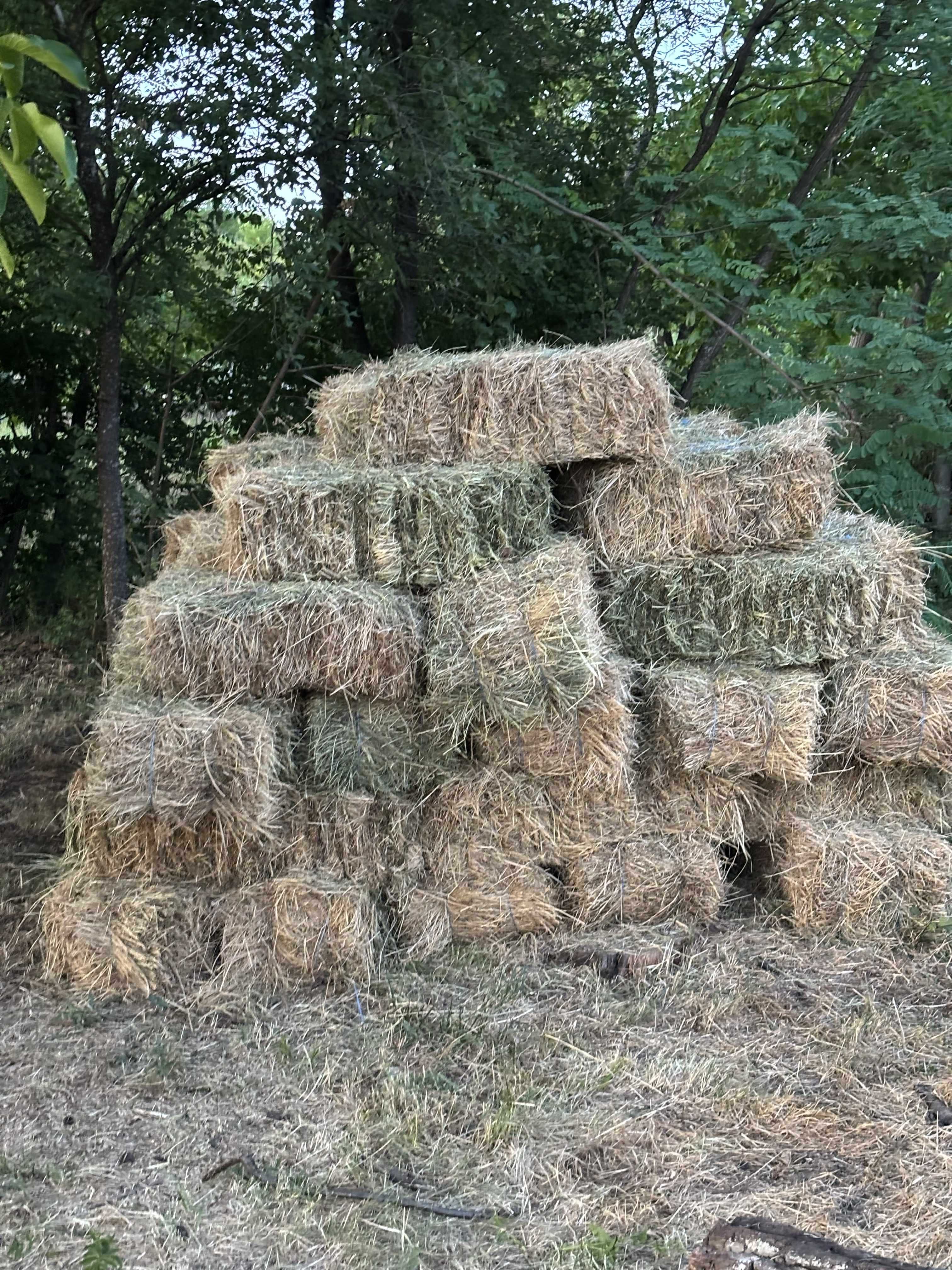 Baloți de fân cu lucerna