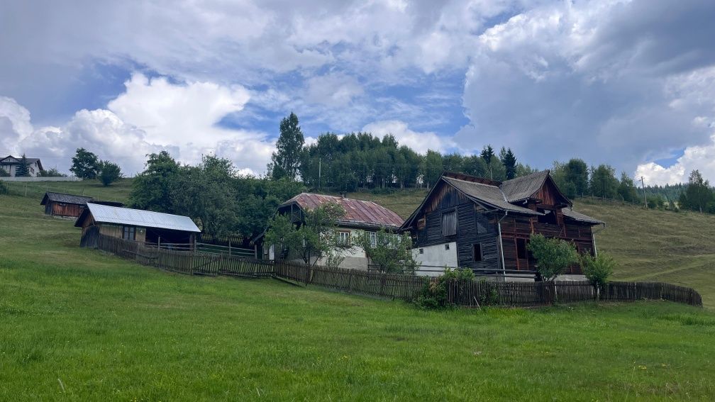 Vând teren + casa la munte, Vatra Dornei
