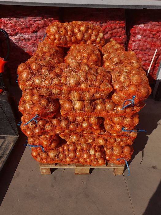 Vând cartofi alb rosu și ceapa