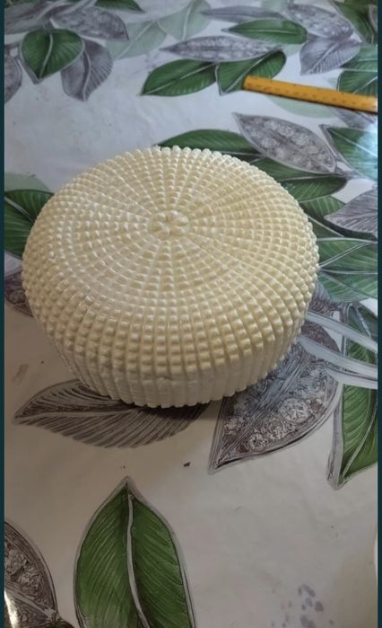 Домашняя молочная продукция