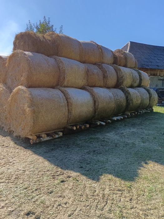 Baloti de fan sau lucerna