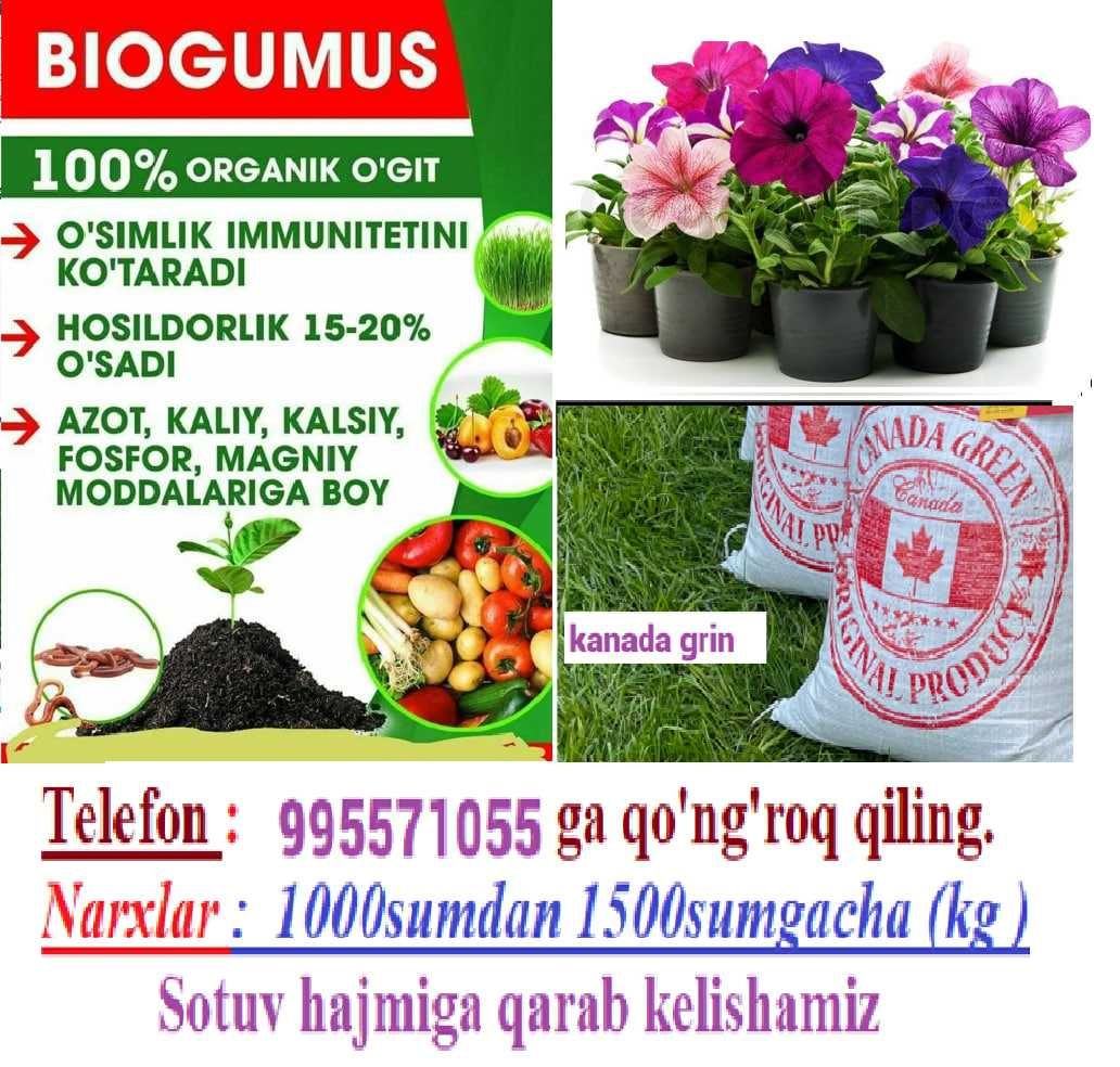 Bigumus sotiladi.