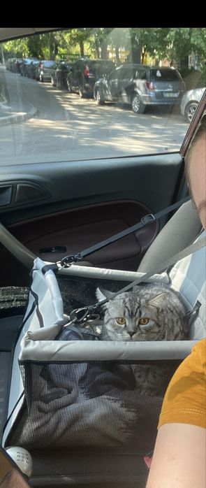 Cos pentru transport catei si pisici cu masina