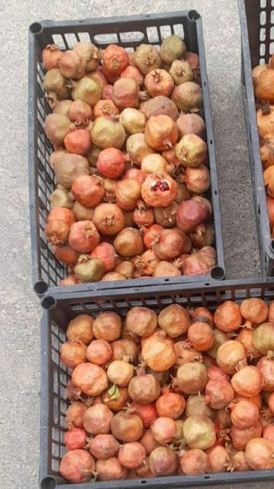 Анор сок учун  сотилади свежи турибди