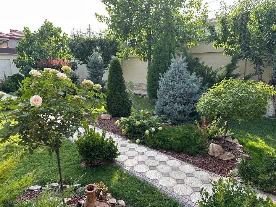 Амир Темур махалля Дом 5 соток