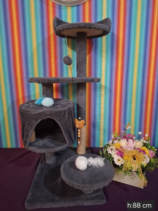 Ansamblu pisici+ litiera