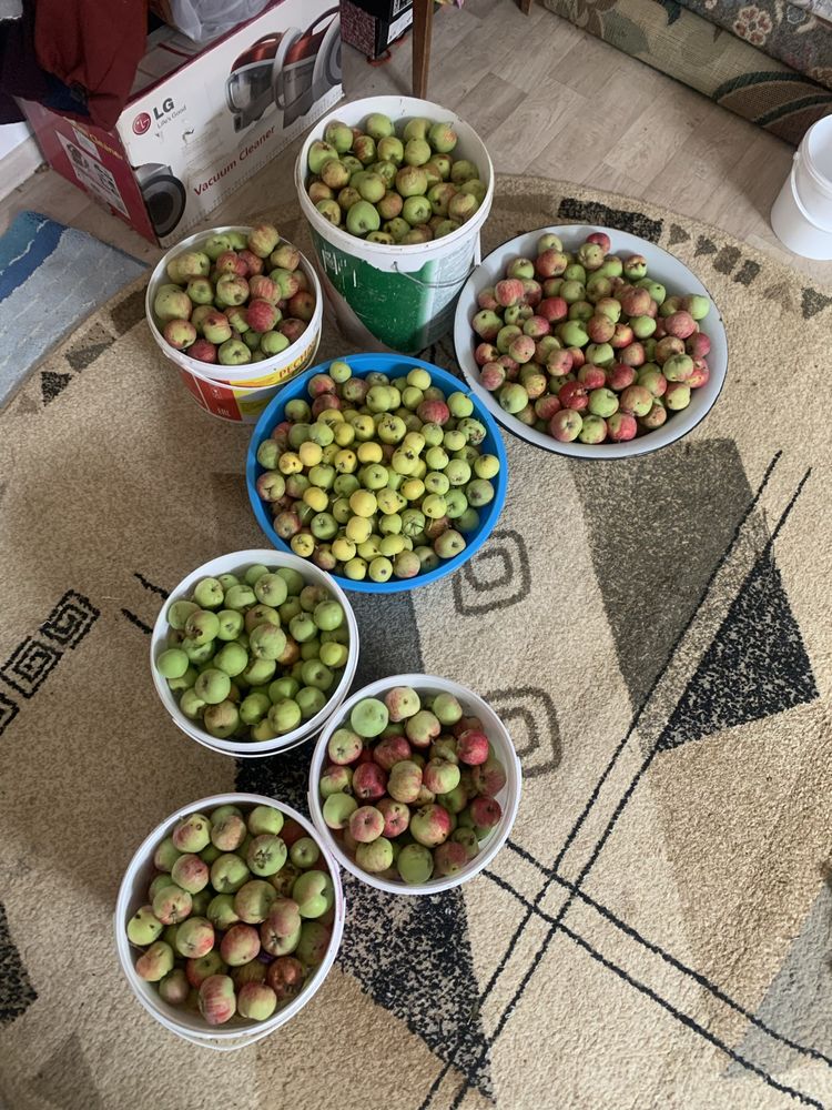 яблоки ранние с доставкой