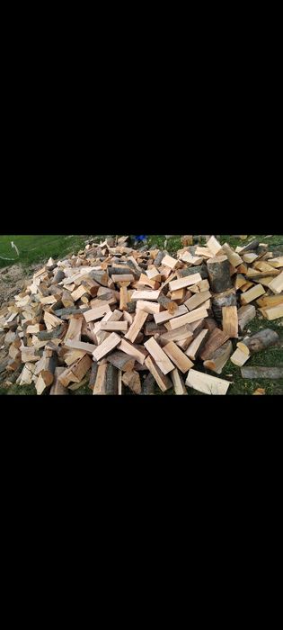 Lemne de foc fag       370 lei metru ster