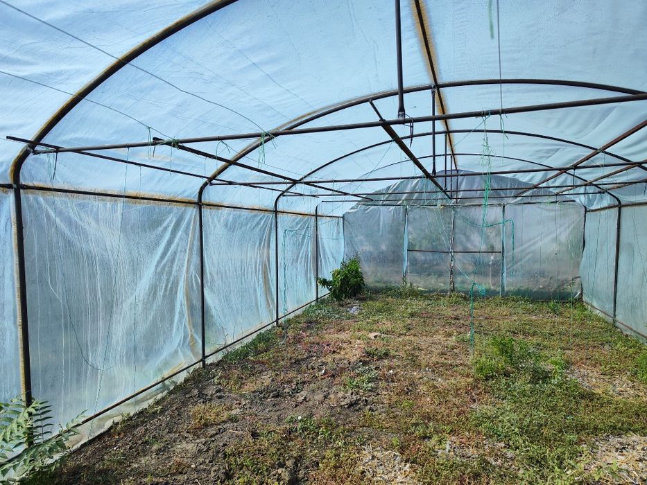 Vând  Solar legume 5x10- 50 mp