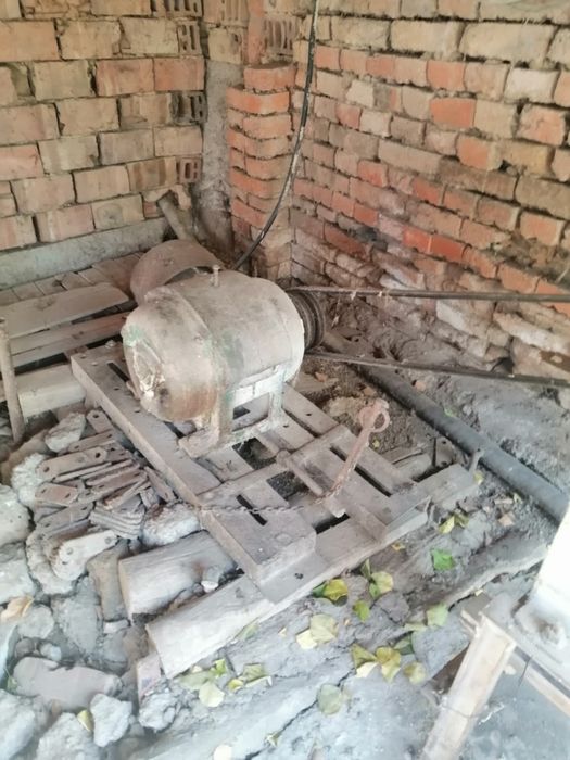 Голяма фуражомелка