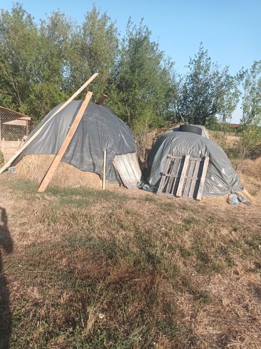 Vand fân iarba de calitate