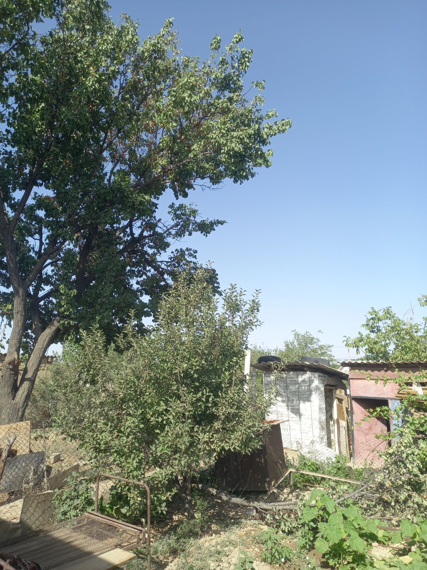 Үй сатылады Дом продаетсия