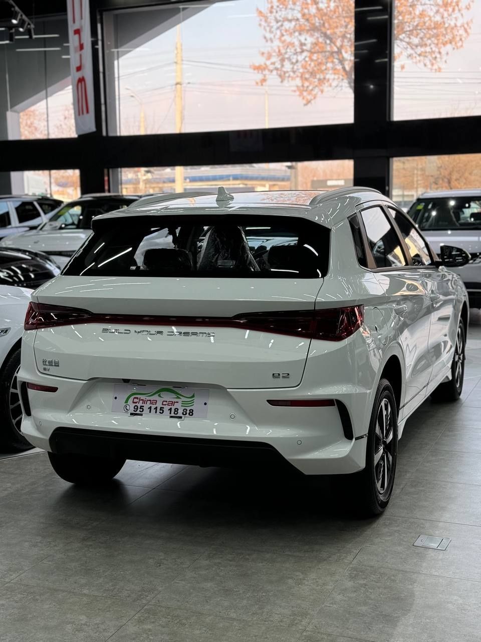Byd e2 luxry full natariusga tayor