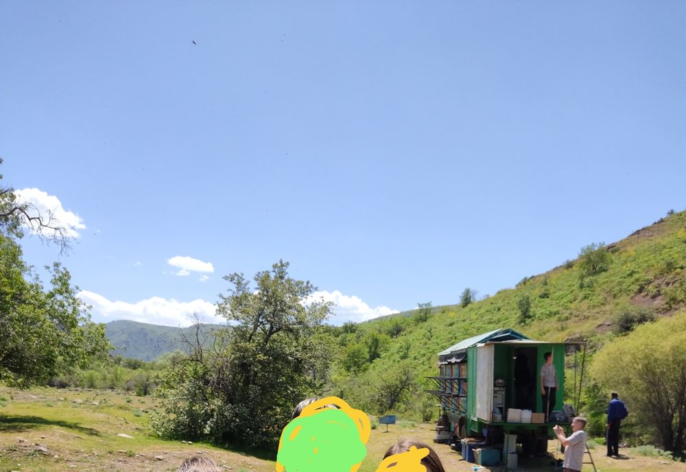 Горный мёд 1000%