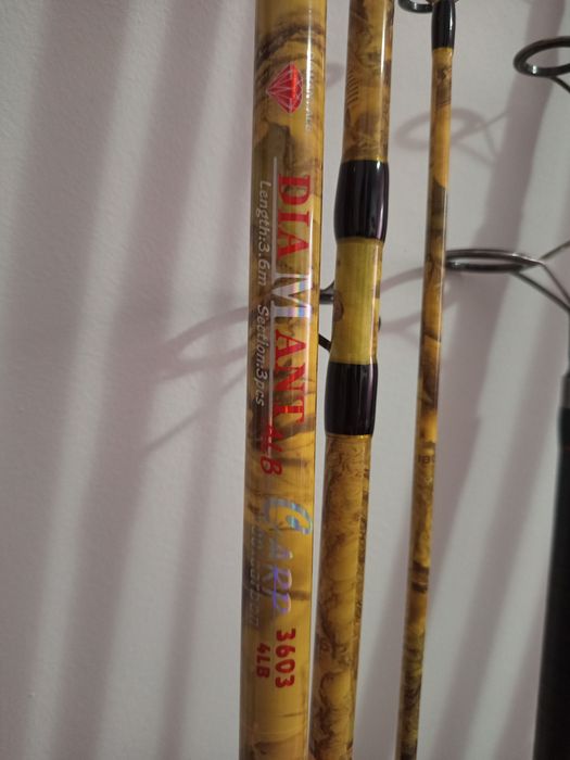 Vând lansete/mulinete și nadă