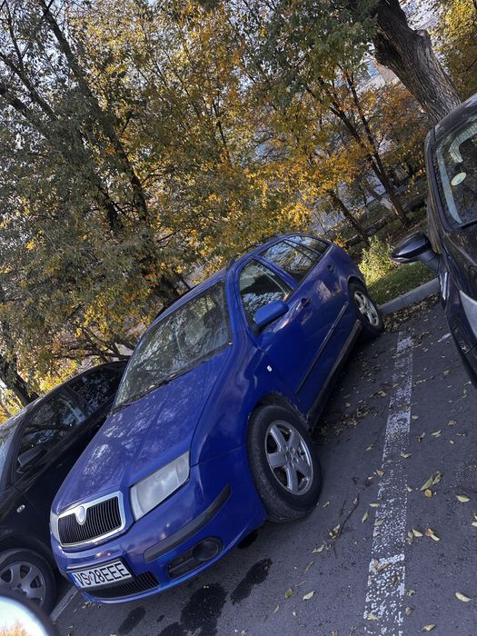 Vand skoda fabia 1