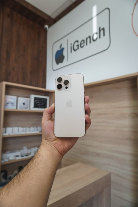 16 Pro Max 256Gb 100% 2Sim Ideal