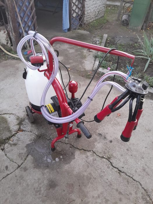 Mulgatoare  in stare functionala