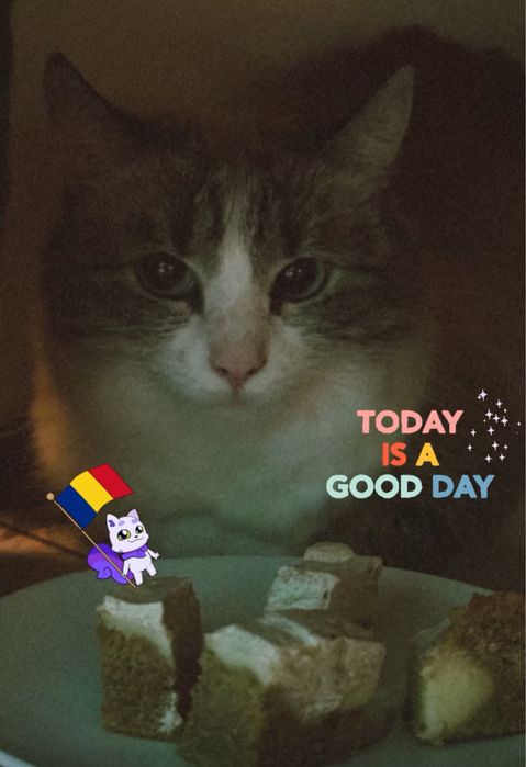 Petsitting | Îngrijitor animale - Plimbare, vizite, grãdiniță, cazare