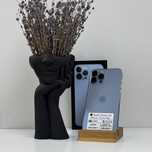 iPhone 13 Pro Max, 256gb