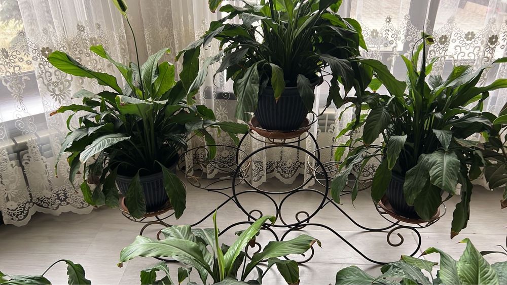 подставка под цветов