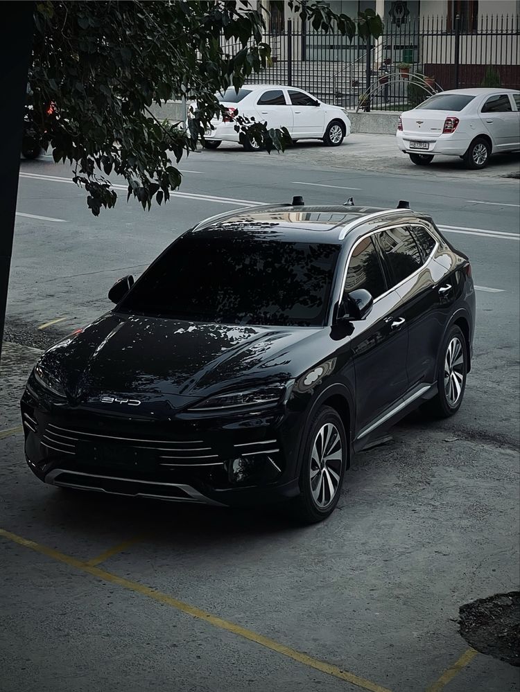 byd champion dmi (gibrid)