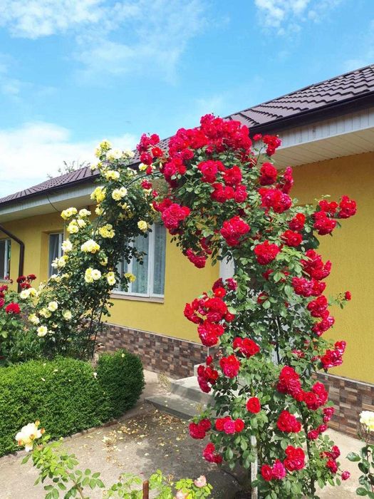 Casa de vanzare, fara  schimb!