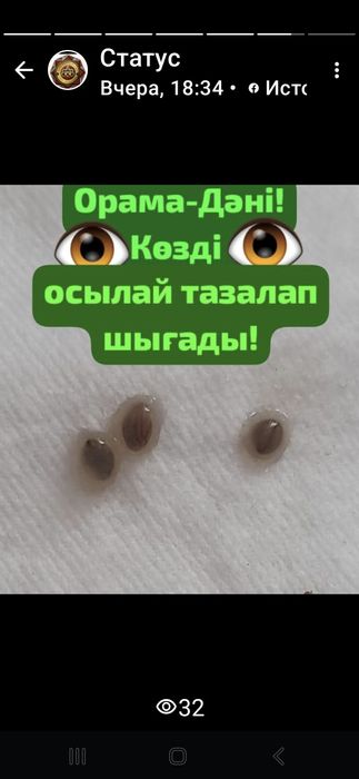 Орама дәні көзге шипа!