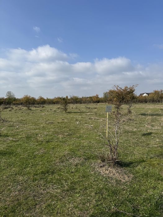 Vand teren intravilan, Smeura, str Prunilor