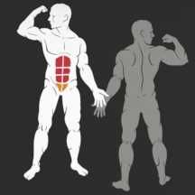 Фитнес Уред за Корем – Abdominal IF9314