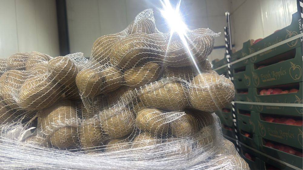 Cartofi origine Franta