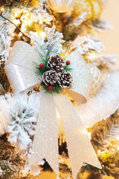 Sedinta foto craciun