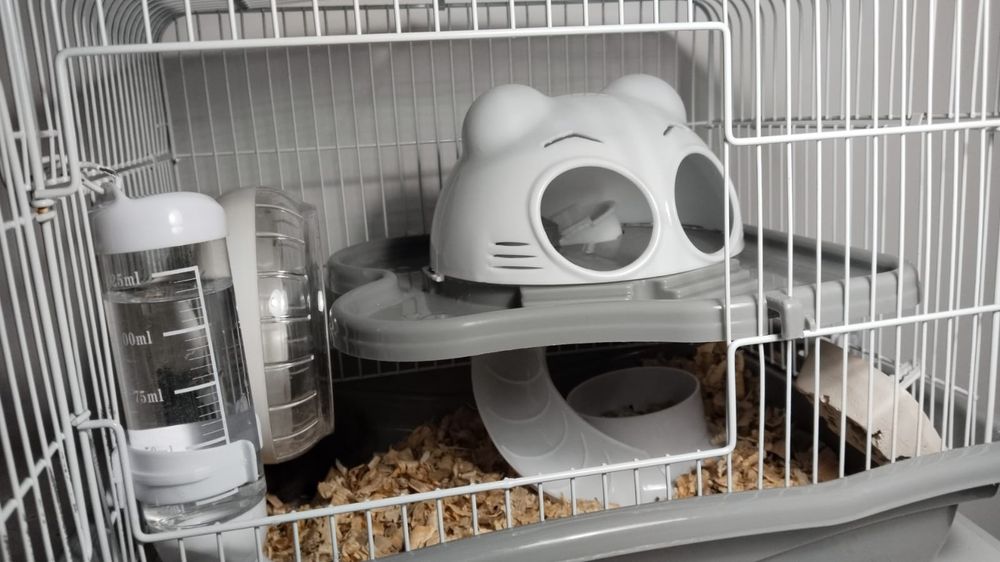 Продам клетку для хомяка