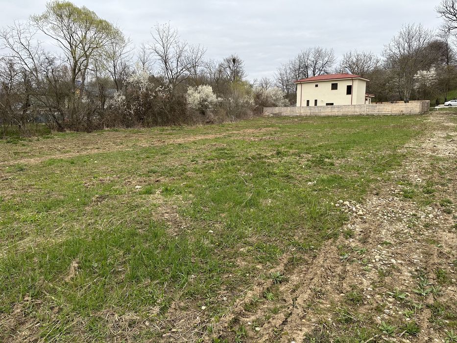 Teren de vanzare Smeura Basangesti 30 € negociabil