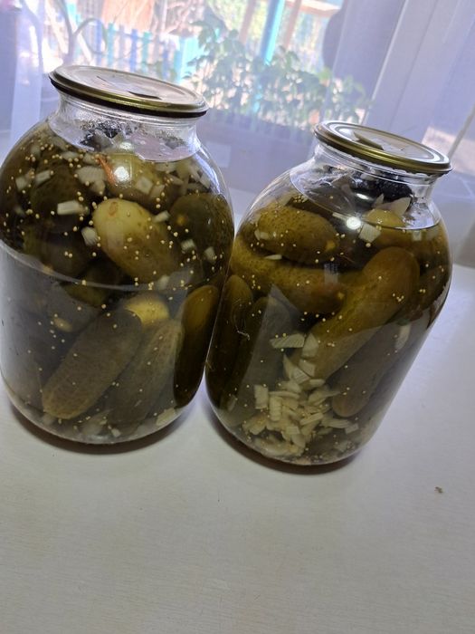 Продам маринованные огурцы