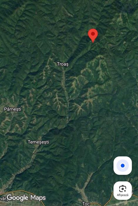 Dăm în arendă sau vindem 88,5 hectare pășune în Petriș, județul Arad