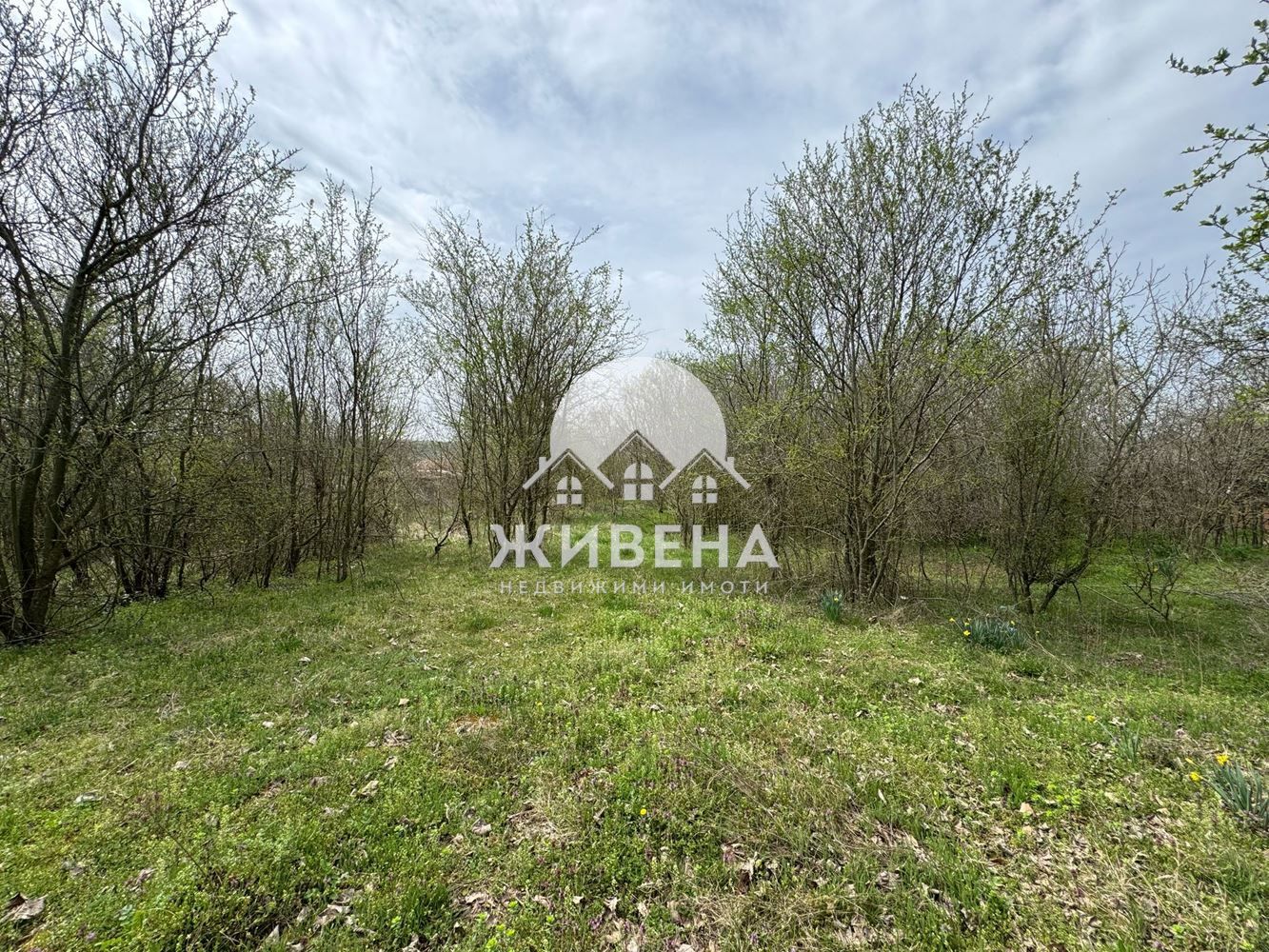 Парцел в с. Преселенци, площ 1854 кв.м