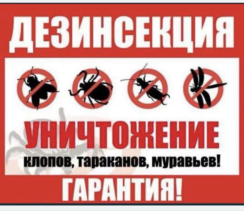 Дезинфекция таракан кандала тышкан