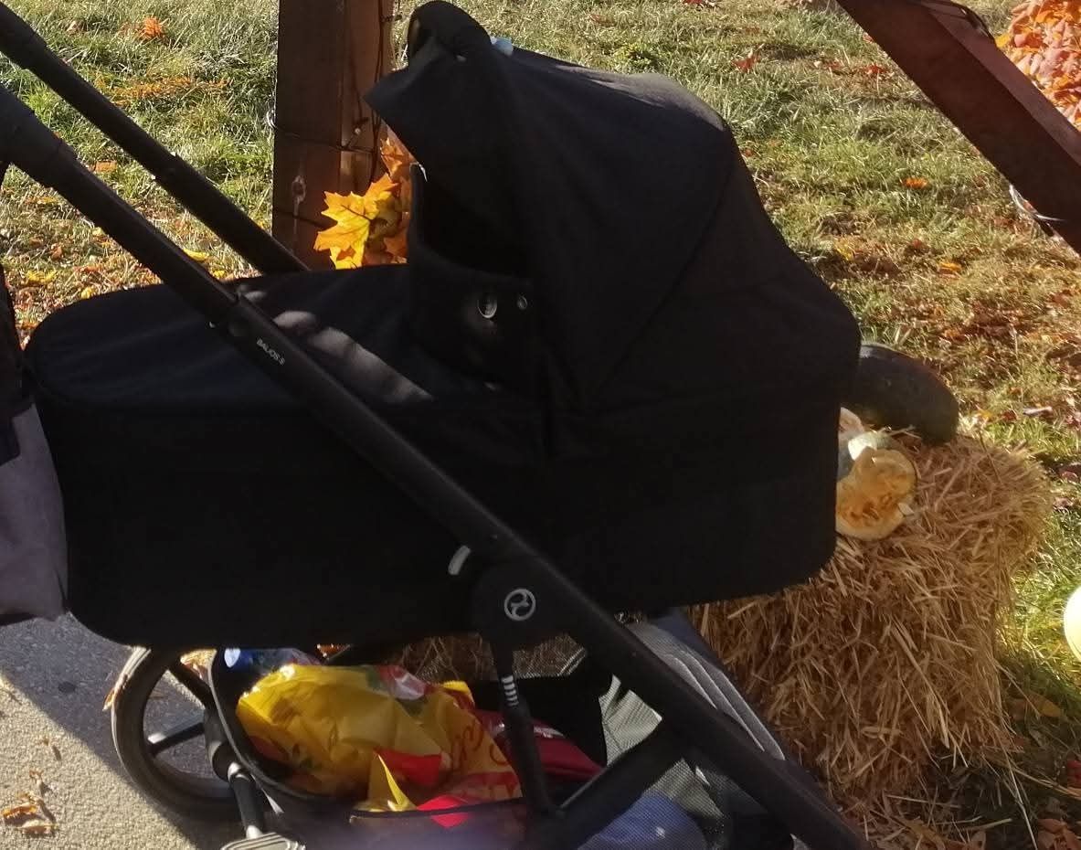 Кош за новородено Cybex Cot S LUX
Търси

Bugaboo
Stokke
Easywalker
Беб