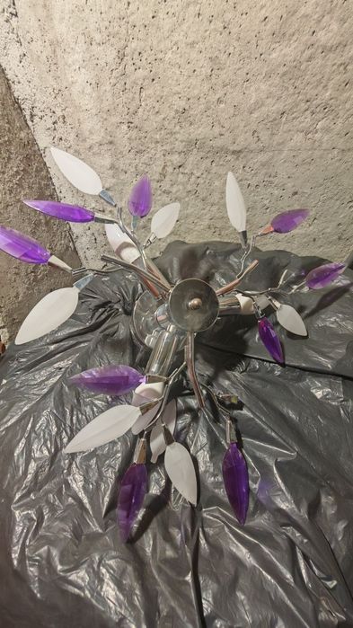 Полилей два броя