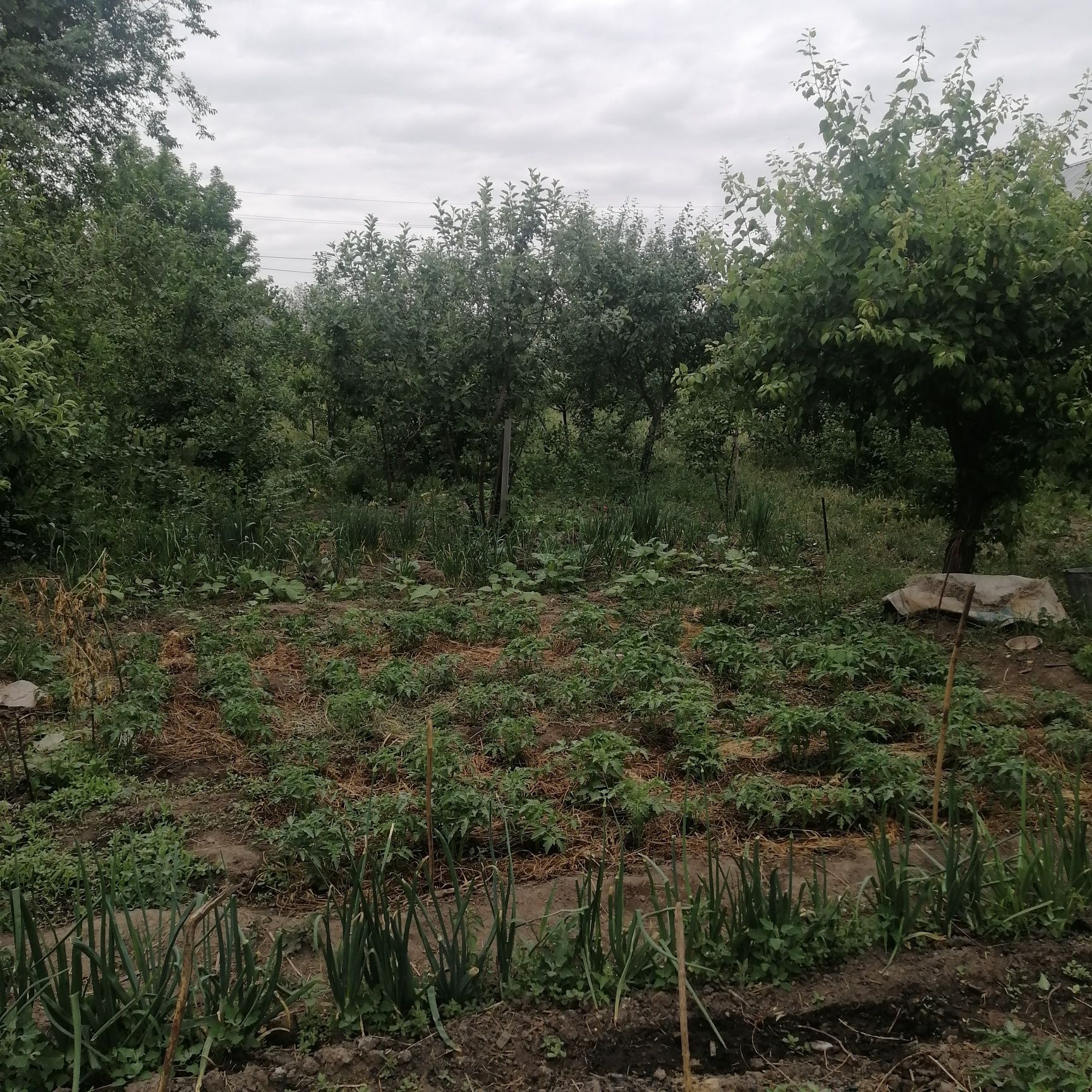 Продажа частного дома
